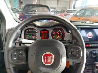 FIAT Panda Cross usata 22