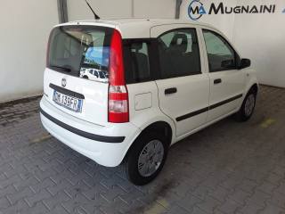 FIAT Panda usata 12