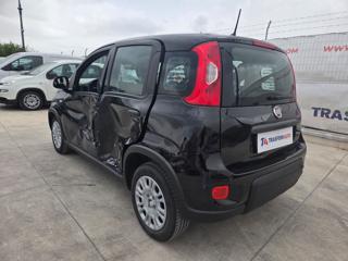 FIAT Panda usata, con Airbag Passeggero