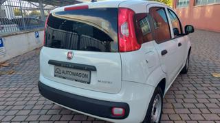FIAT Panda usata, con Alzacristalli elettrici
