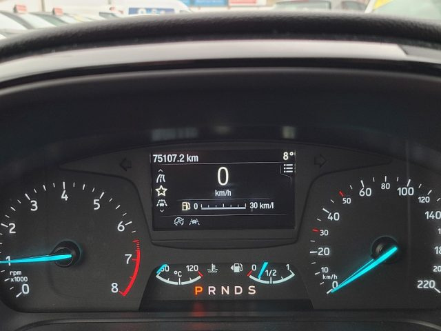 FORD Fiesta usata, con Controllo trazione