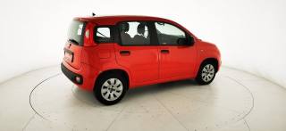 FIAT Panda usata 17