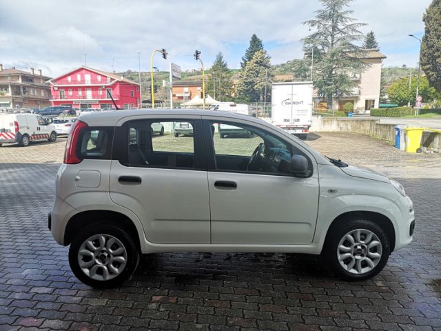 FIAT Panda usata, con Cronologia tagliandi