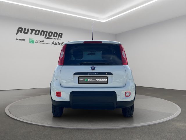 FIAT Panda usata 4