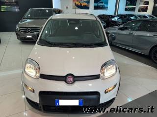 FIAT Panda usata, con Airbag