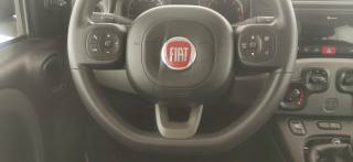 FIAT Panda usata 29