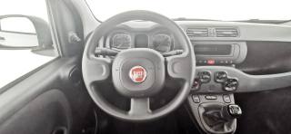 FIAT Panda usata 39