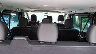 RENAULT Trafic usata 114