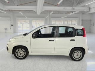 FIAT Panda usata, con Airbag Passeggero