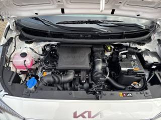 KIA Picanto usata, con Servosterzo