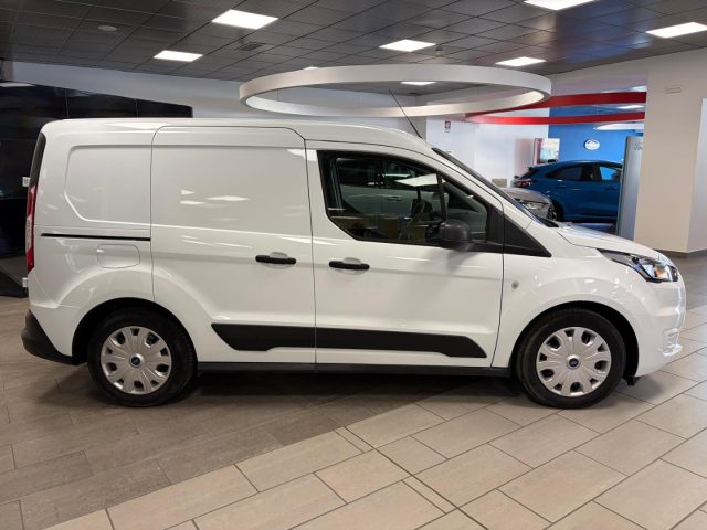FORD Transit Connect usata, con Fendinebbia