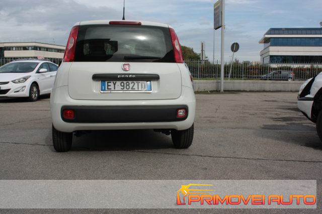 FIAT New Panda usata 13