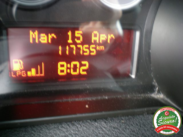 FIAT Punto usata 16