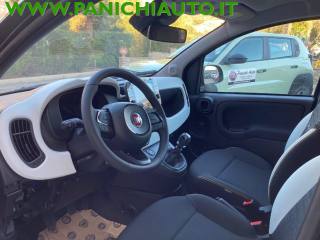 FIAT Panda usata, con Cruise Control