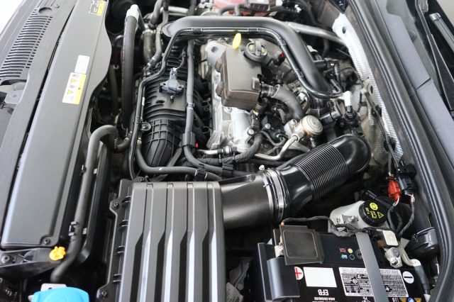 VOLKSWAGEN Golf usata 61