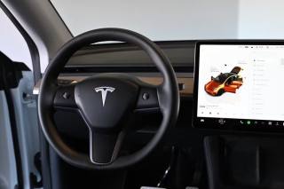 TESLA Model Y usata, con Interni in pelle