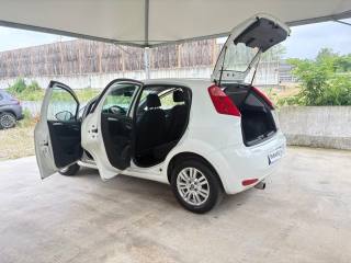 FIAT Punto usata, con Abilitata per E10