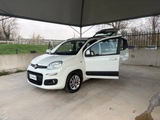 FIAT Panda usata 42