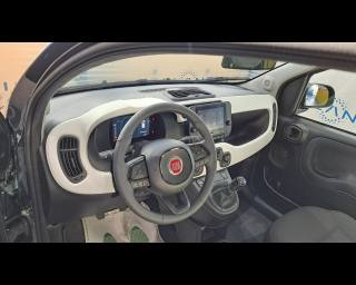 FIAT Pandina Cross usata, con Controllo automatico clima