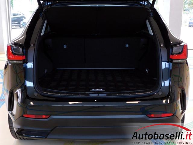 LEXUS NX 300h usata, con Sedile posteriore sdoppiato