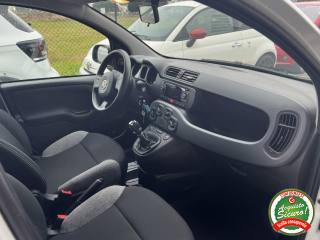 FIAT Panda usata, con Servosterzo