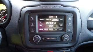 JEEP Renegade usata 101