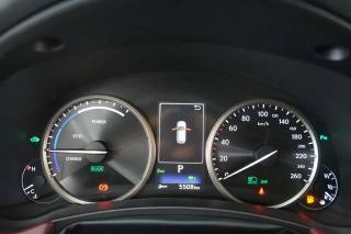 LEXUS NX 300h usata 37