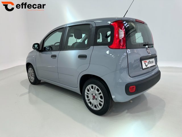 FIAT Panda usata, con Alzacristalli elettrici