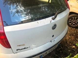 FIAT Punto usata 3