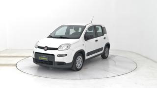 FIAT Panda 1.0 hybrid Street 70cv 4p.ti serie 4 E6d