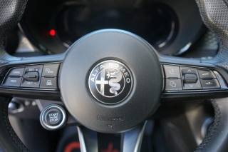 ALFA ROMEO Tonale usata, con Vivavoce