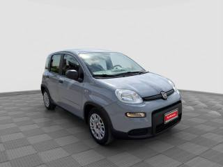 FIAT Panda usata 6