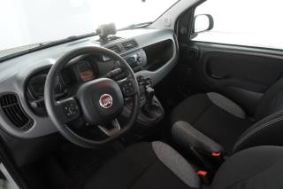 FIAT Panda usata 7