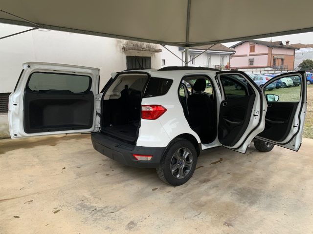 FORD EcoSport usata, con Cronologia tagliandi
