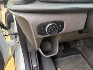 FORD Transit Custom usata 20