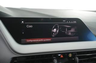 BMW 116 usata 14