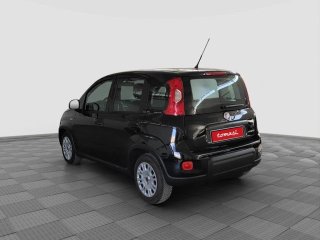 FIAT Panda usata 2