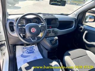 FIAT Panda usata, con Fendinebbia