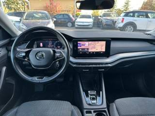 SKODA Octavia usata, con Fendinebbia