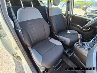 FIAT Panda usata 17