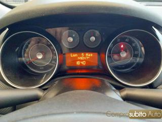 FIAT Punto Evo usata 17