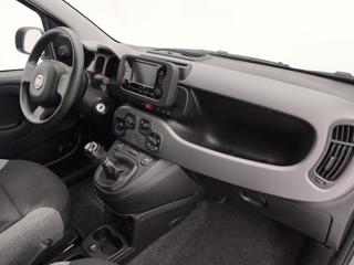 FIAT Panda usata 22