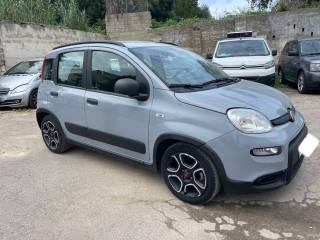 FIAT Panda usata 1