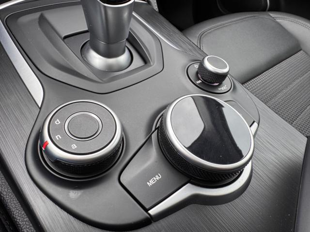 ALFA ROMEO Stelvio usata, con Monitoraggio pressione pneumatici