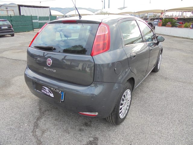 FIAT Punto usata 11