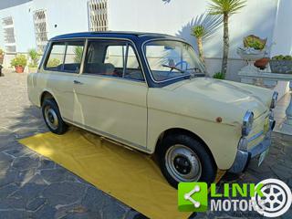 AUTOBIANCHI Bianchina usata 24