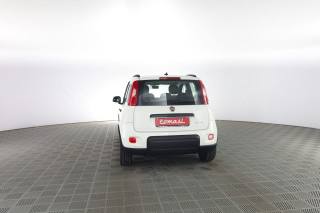 FIAT Panda usata 4