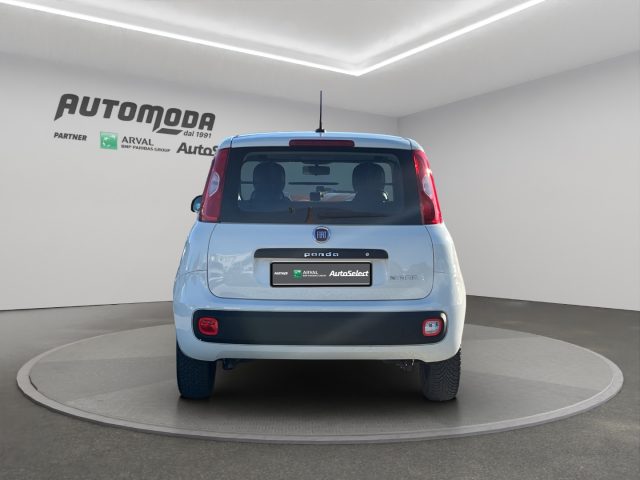 FIAT Panda usata 4