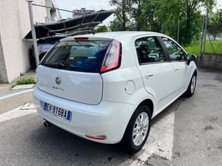 FIAT Punto usata, con Airbag