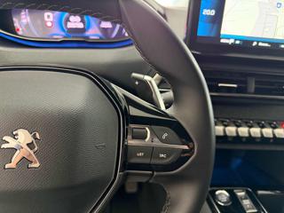 PEUGEOT 3008 usata 19